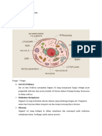 Dafa Dhilla - Biologi