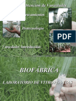 Presentación Biofabrica 280911