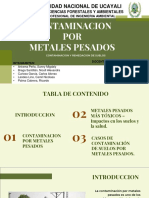 g.5 - Contaminacion Por Metales Pesados
