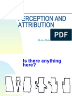 4.perception and Attributes F