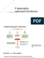 Catastrophic Antiphospholipid Syndrome: Triggers, Presentation, Diagnosis and Management