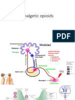 Analgetics Opiod