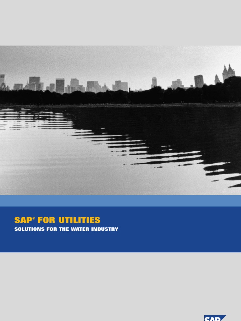 SAP For Utilities Overview | PDF | Sap Se | Business Process