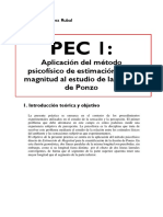 PEC 1 Álvarez Rubal Henrique