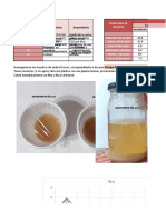 Evolución microbiológica de muestras en condiciones aerobias y anaerobias