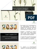 Agenda 2030 para o Desenvolvimento Sustentável e os