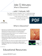 1 Slide 5 Minutes:: What Is Glaucoma?