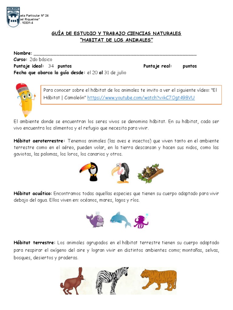 Hábitat Terrestre de los Animales | PDF | Habitat | Tierra