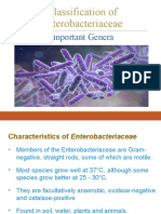 Classification of Enterobacteriaceae Important Genera