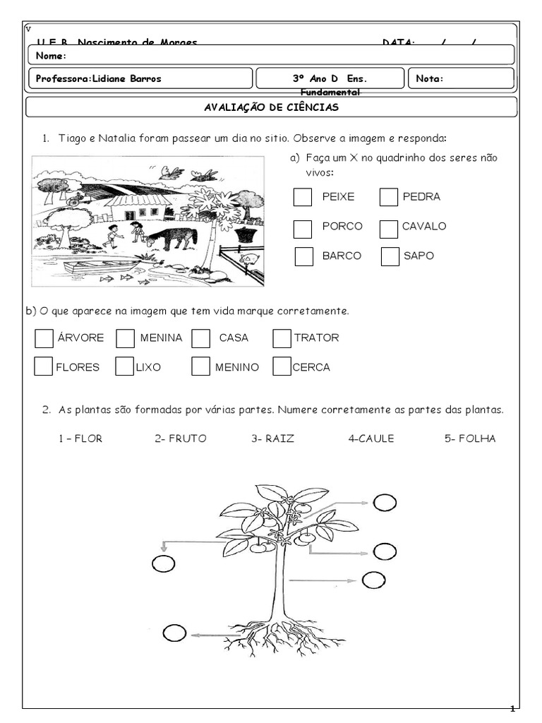 PROVA DE CIÊNCIAS 3 Ano | PDF