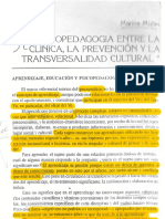 01 - Müller M. Psicopedagogía Entre La Clinica, La Prevención y La Transversalidad Cultural. Revista Aprendizaje Hoy