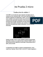 C-di-GMP: molécula clave en la formación de biopelículas bacterianas