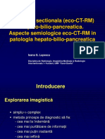 Imagistica Ficat, Pancreas