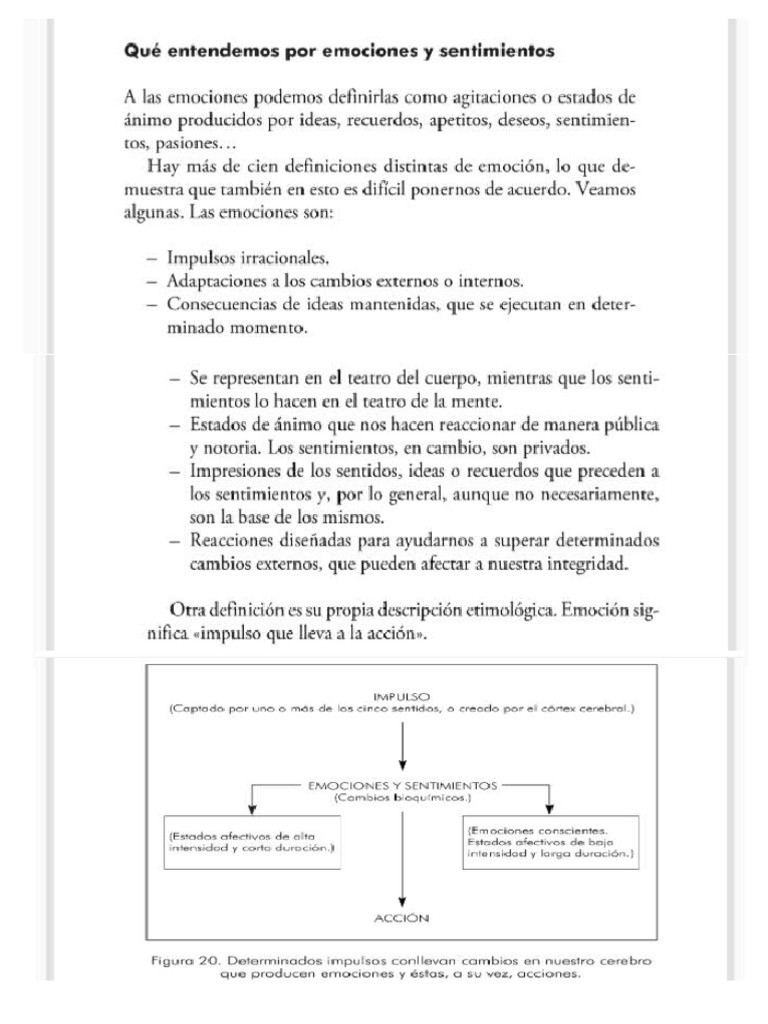 Libro Emociones y Sentimientos | PDF