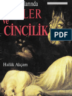 493-Bati Inanclarinda Cinler Ve Cinchilik-Xaluq Akcham-2006-34s