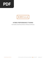 Hybris Performance Tuning Gorilla Group 1