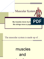 My Muscular System: My Muscles Move My Body Like Strings Move A Puppet