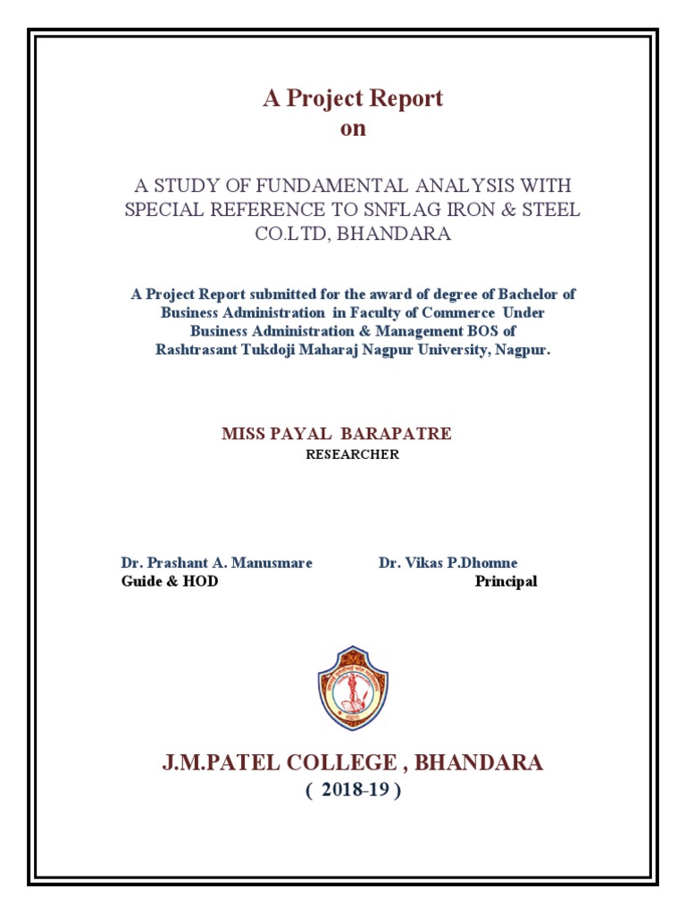 Fundamental Analysis of SNFLAG Iron | PDF | Cognition | Science