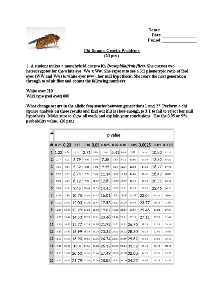 Chi-Square Analysis of Drosophila Genetics | PDF | Chi Squared Test ...