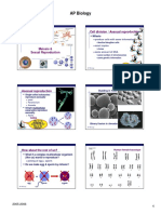 AP Biology: Cell Division / Asexual Reproduction