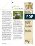 Pregnancy Toxemia (Ketosis) in Ewes and Does