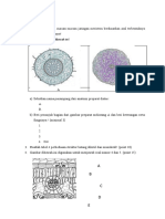 DRAF SOAL ULANGAN MATERI TUMBUHAN