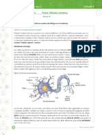 Taller Sistema Nervioso 8