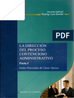 Direccion Del Proceso Contencioso Administrativo