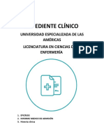 Expediente Clínico: Universidad Especializada de Las Américas Licenciatura en Ciencias de La Enfermería