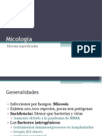Slide 2 - Micologia