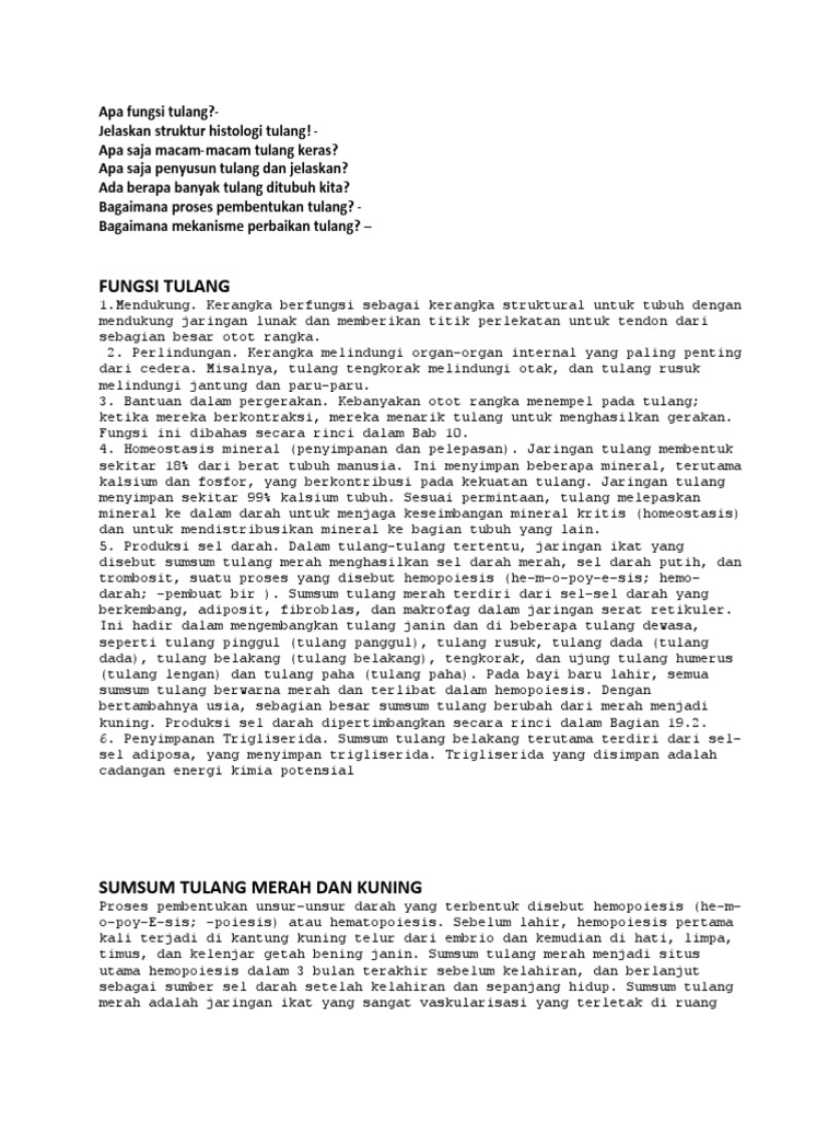 Apa fungsi tulang pdf