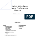 ANATOMY of Retina, Bruch Membrane, Ora Serrata, Vitreous - Dhita, Dr.