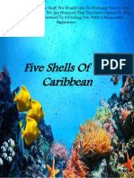 Five Shells of The Carribean