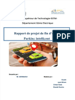 PDF Rappor Car Parkingdocx DD