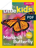 Butterfly Monarch: Animal Cards!