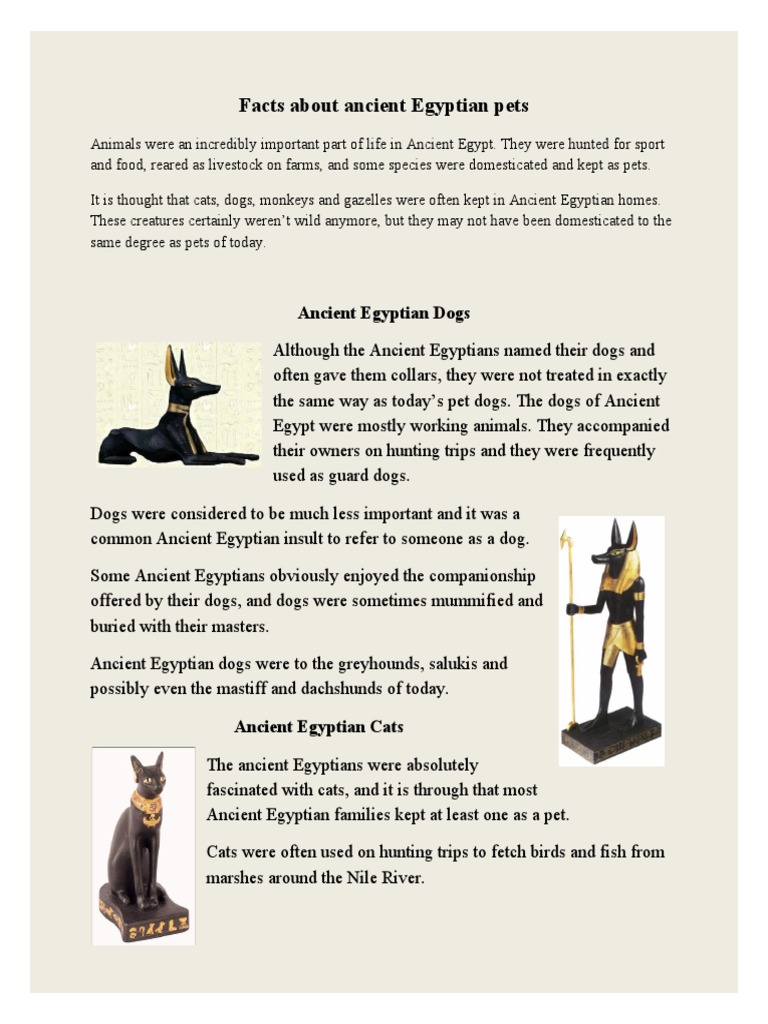 Ancient Egyptian Pets PDF Pet Ancient Egypt
