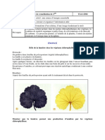 Exercice de Remédiation de 2 T2A1-I302: Énoncé