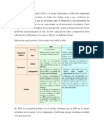 Cuadro Comparativo ADN y ARN