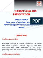 Antiigen Processing and Presentation