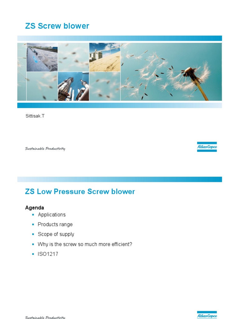 ZS Low Pressure Screw Blower Overview | PDF | Bearing (Mechanical) | Pump