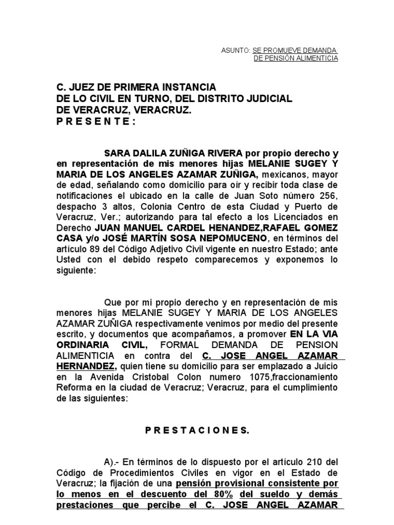 Demandadepensionalimenticia Manutención De Los Hijos Demanda