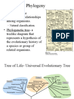 Evolutionary Relationships Among Organisms