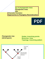 Terminology of Phylogenetic Trees