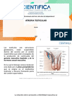 Varicocele - Atrofia Testicular Listo (1) (2)