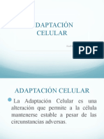 Adaptacion Celular