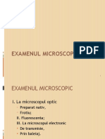 lp4 Microscopie