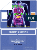Sistema Digestivo Clase 2018