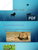 Animales Salvajes Diapositivas 28 Mayo