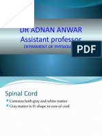 DR Adnan Anwar Assistant Professor: Deparment of Physiology