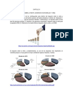 Capítulo 2-Derecho Tributario UMNG